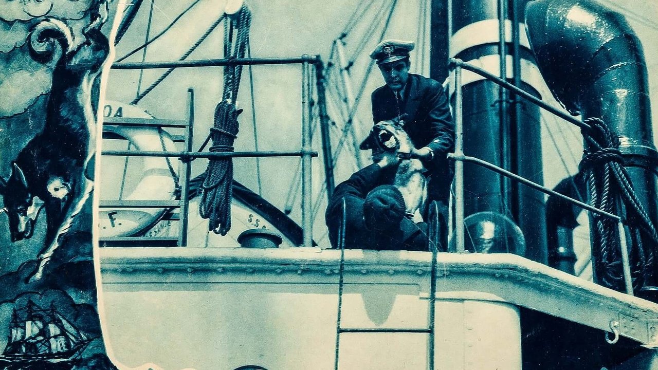 Backdrop image for movie The Wolf Dog