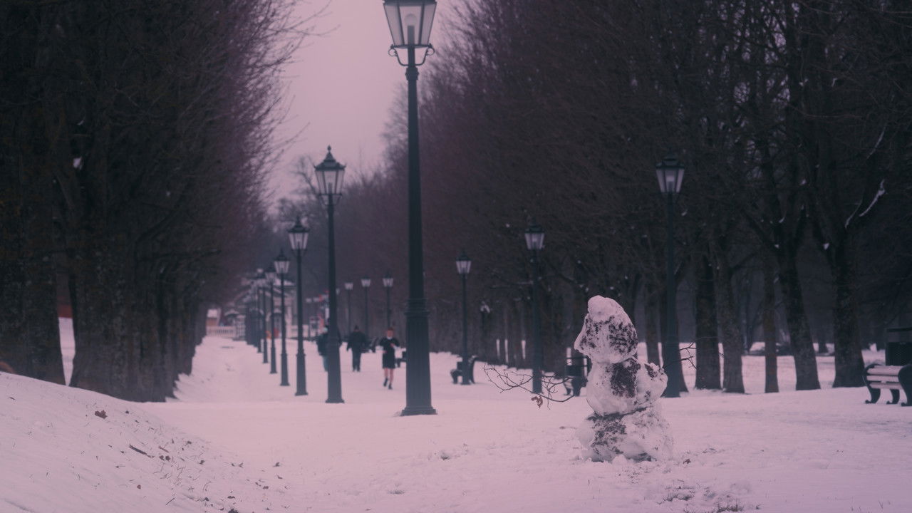 Backdrop image for movie One Crow Sorrow