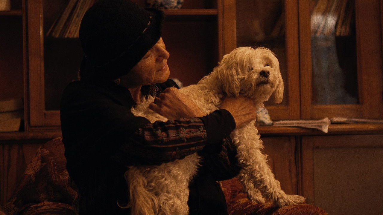 Backdrop image for movie Agua con Azúcar