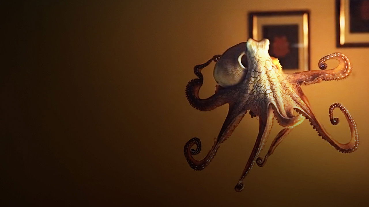 Backdrop image for movie The Octopus in My House