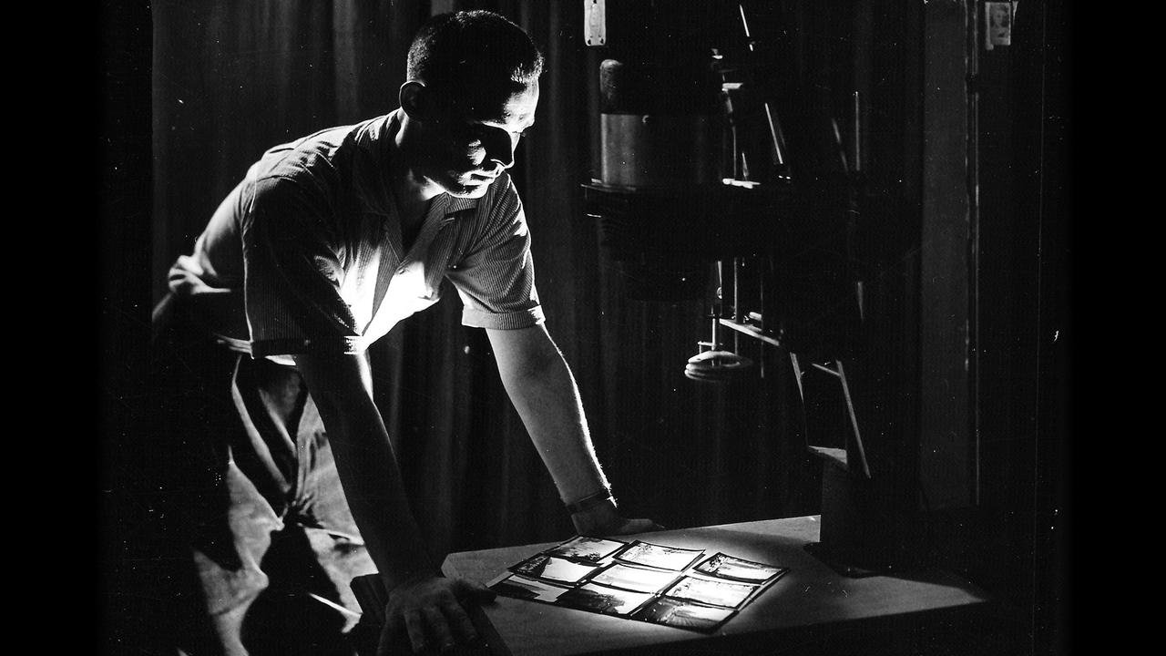 Backdrop image for movie In Search of Avery Willard