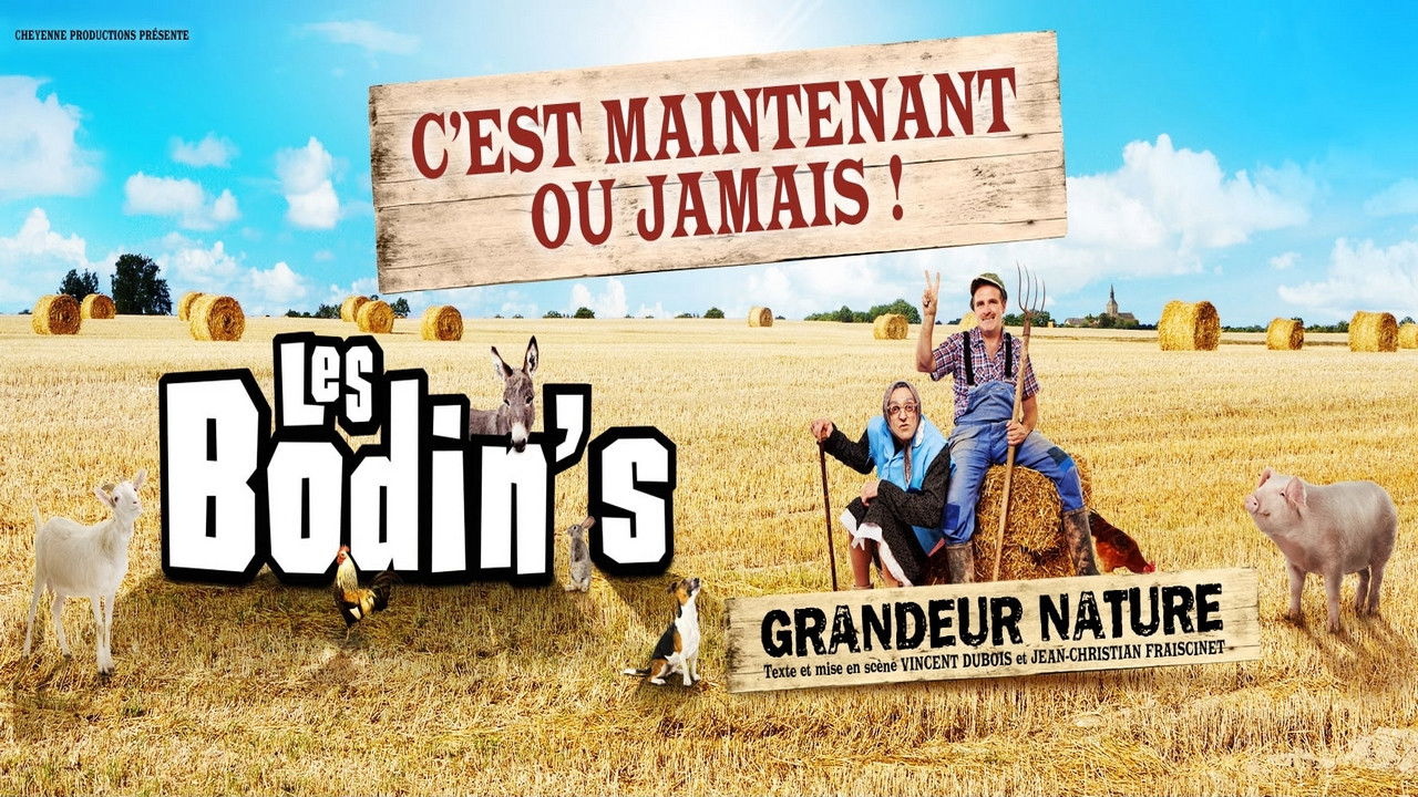 Backdrop image for movie Les Bodin's - Grandeur Nature - La Dernière Des Zénith