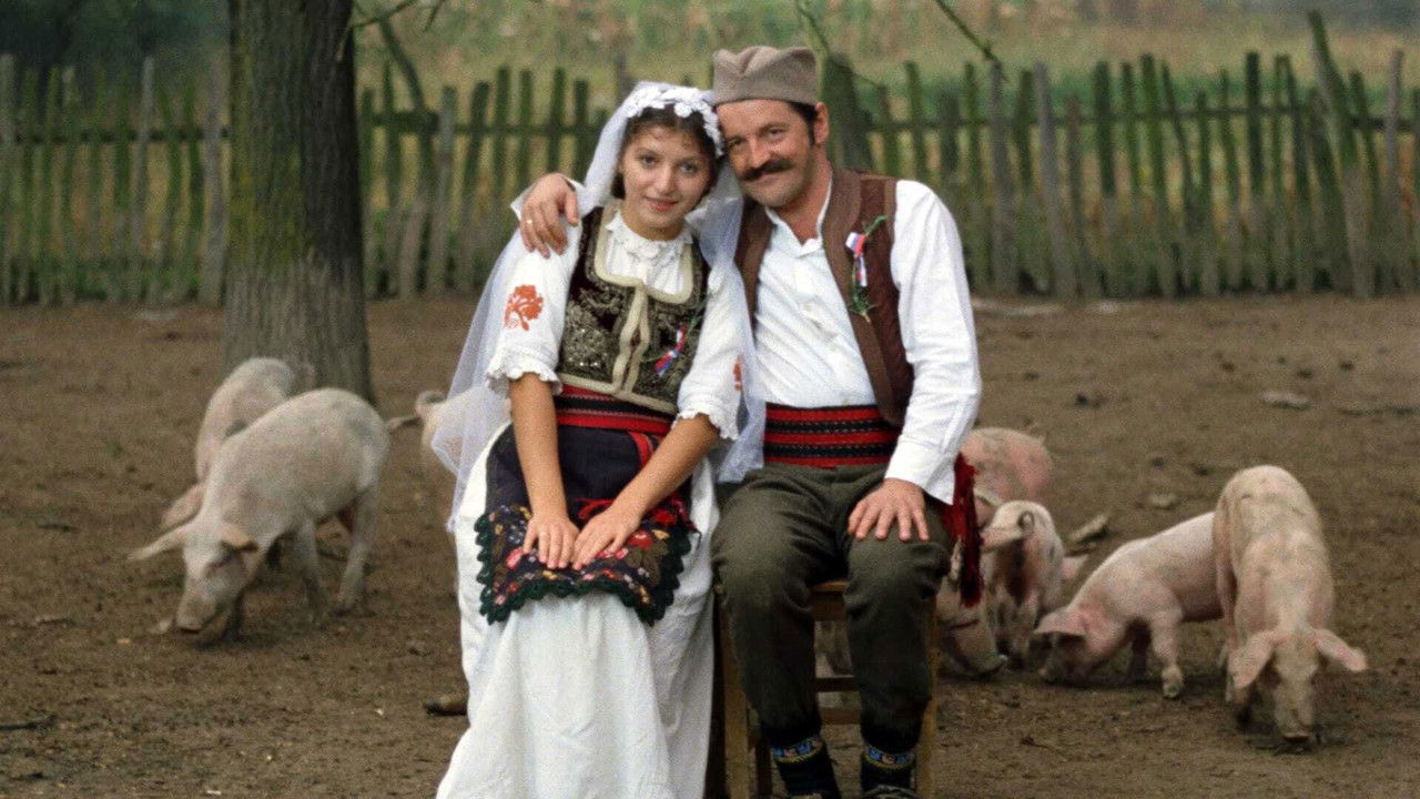 Backdrop image for movie Petria's Wreath