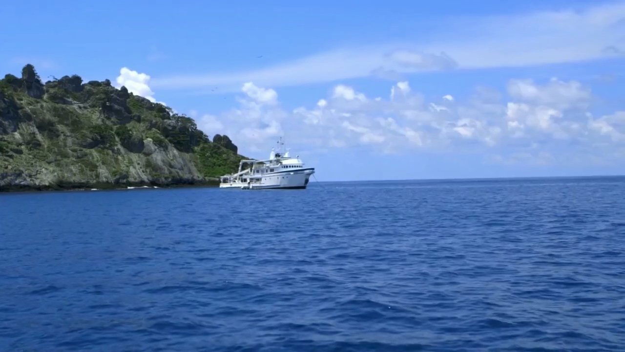 Backdrop image for movie Shark Land: Welcome to Cocos Island