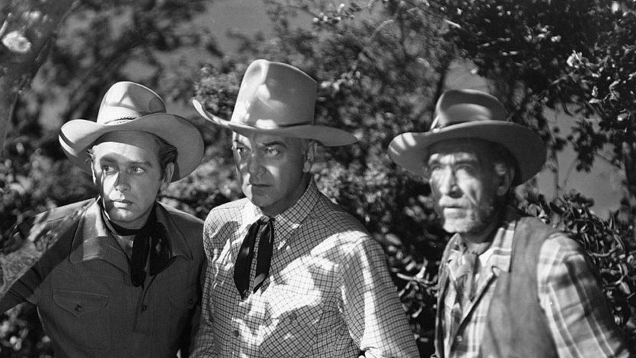 Backdrop image for movie Strange Gamble