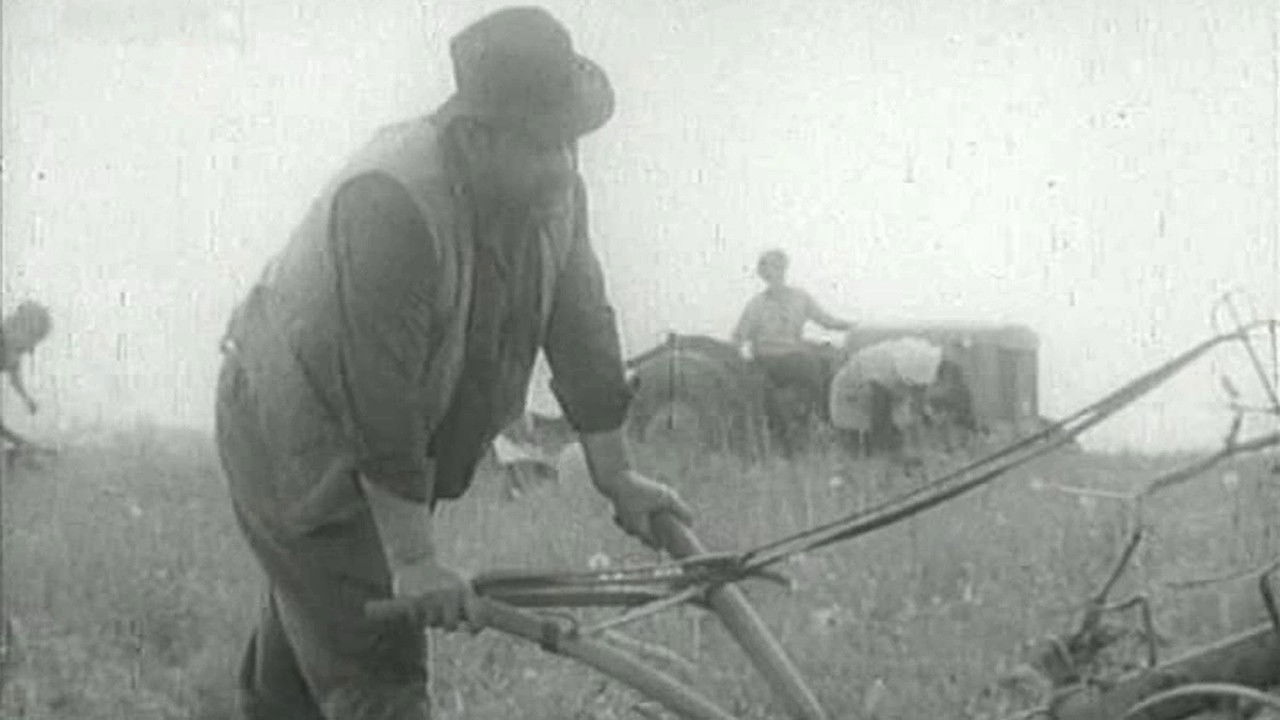 Backdrop image for movie Boundary