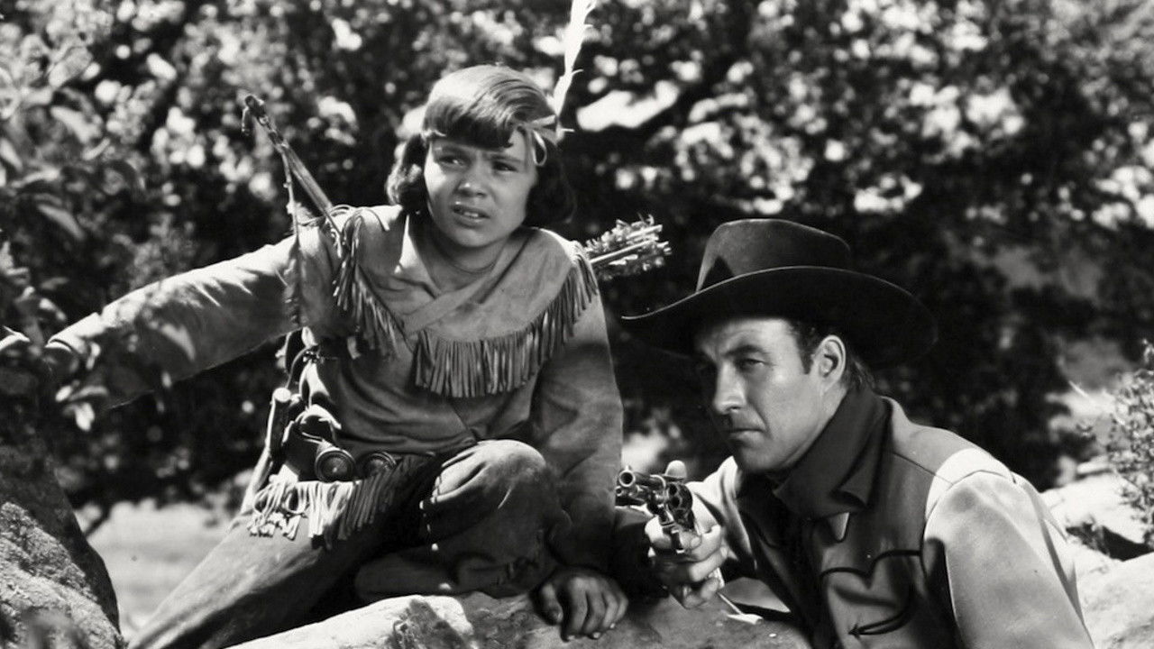 Backdrop image for movie Cheyenne Wildcat