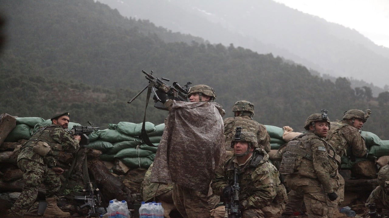 Backdrop image for movie The Hornet's Nest