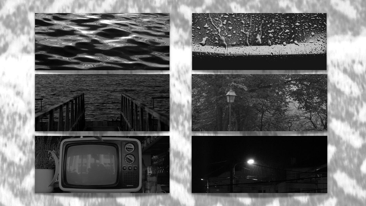 Backdrop image for movie Ensaio sobre a Imutação