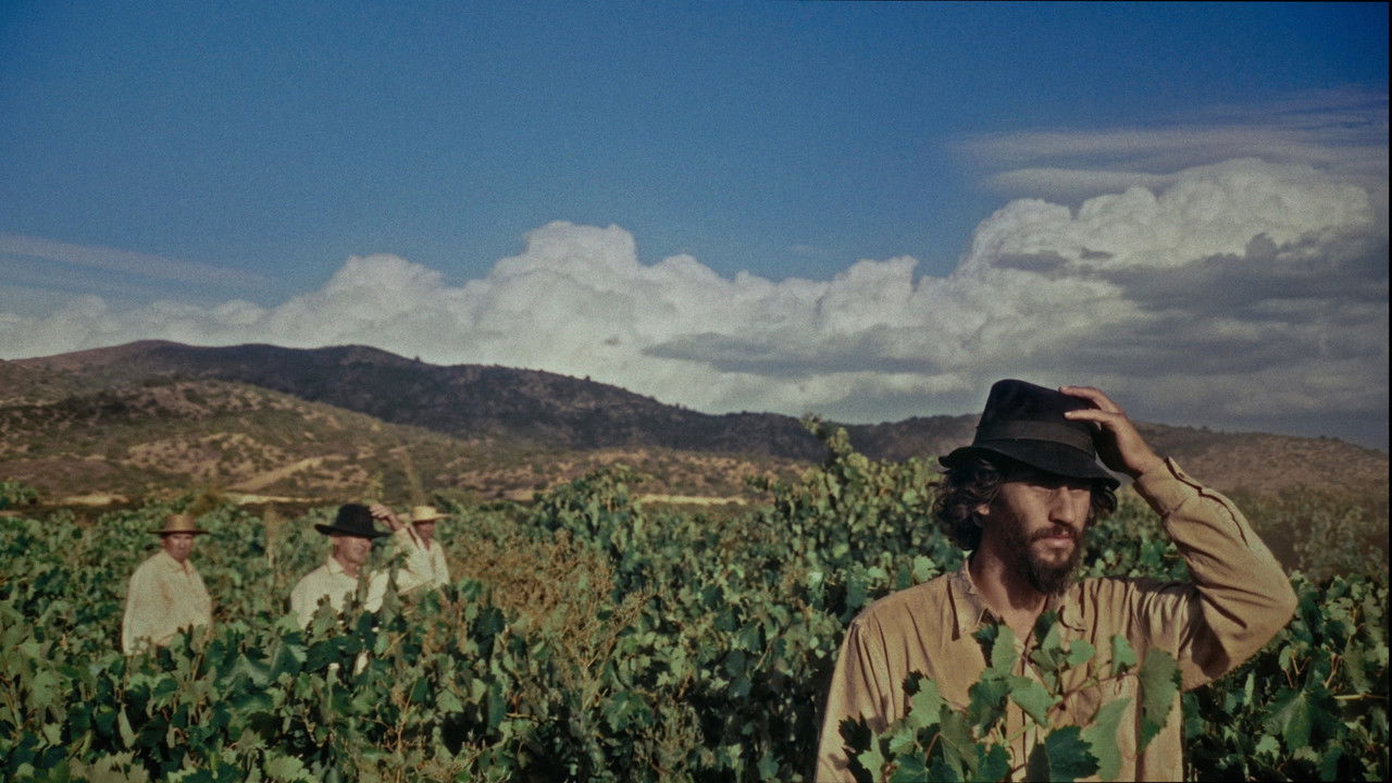 Backdrop image for movie SHORTCUT