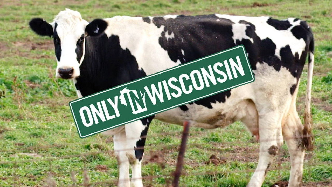 Backdrop image for movie Tale of the Spotted Cow