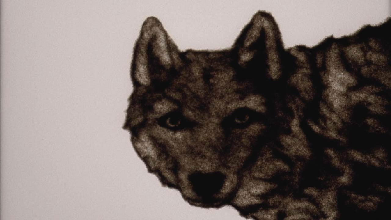 Backdrop image for movie The Hunter