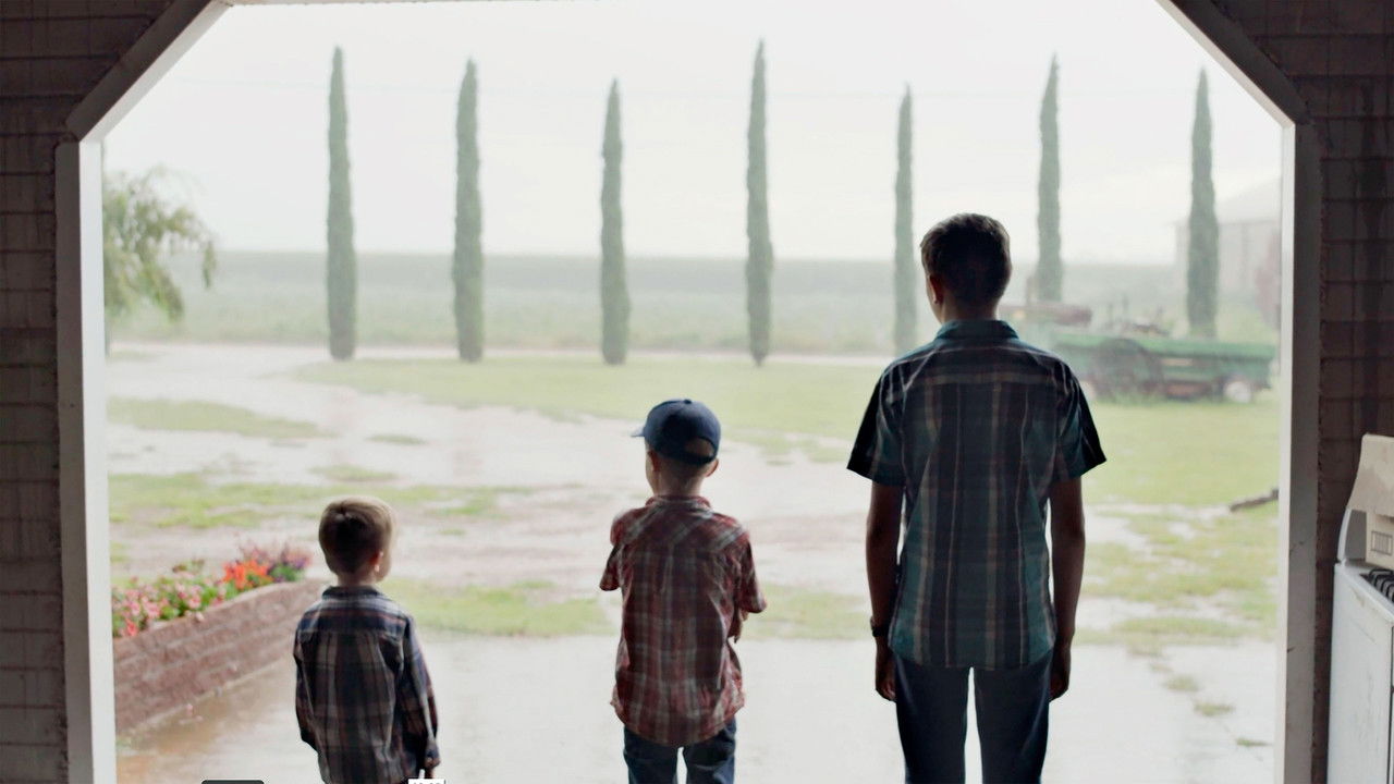 Backdrop image for movie The light that fills the world