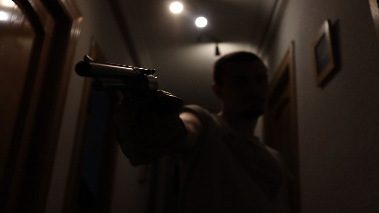 Backdrop image for movie REVOLVER