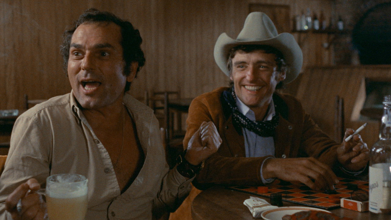 Backdrop image for movie The Last Movie