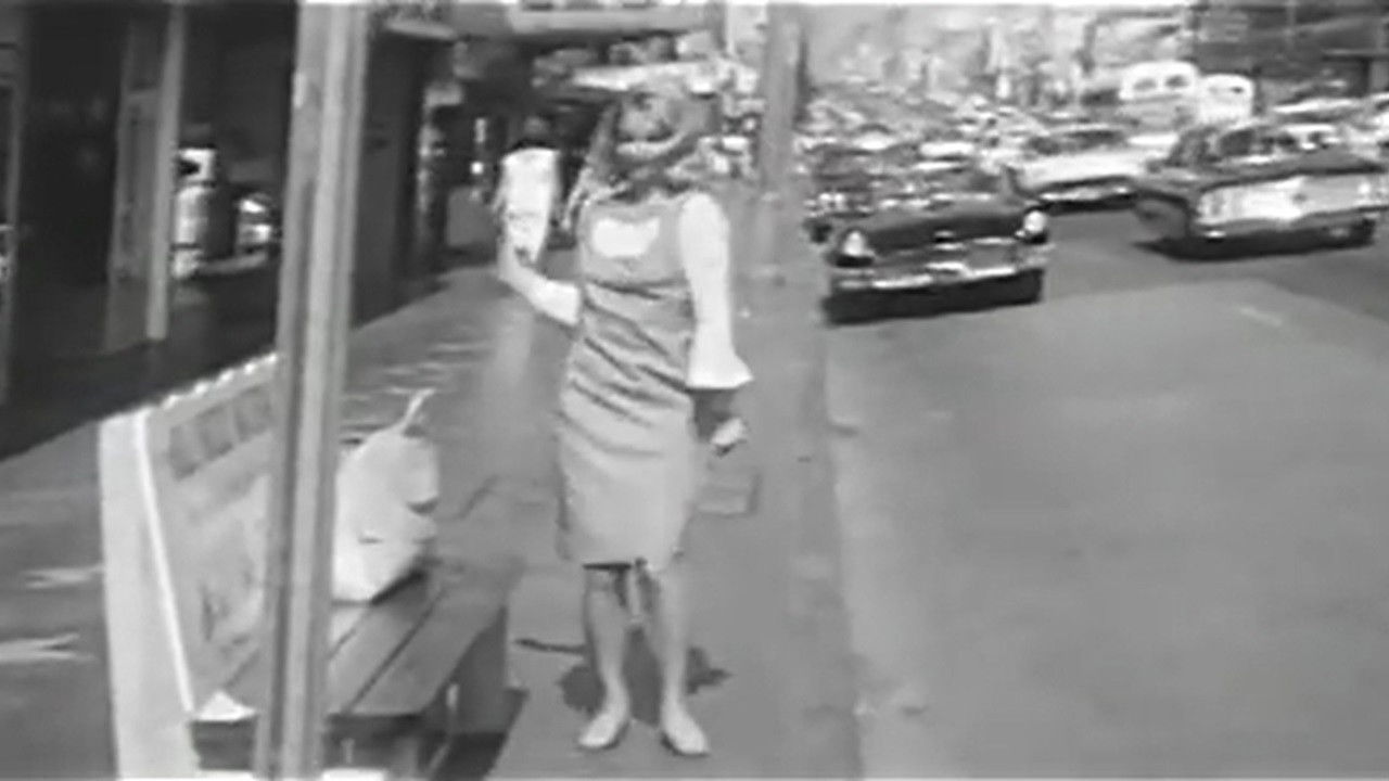 Backdrop image for movie Where's the Bus?