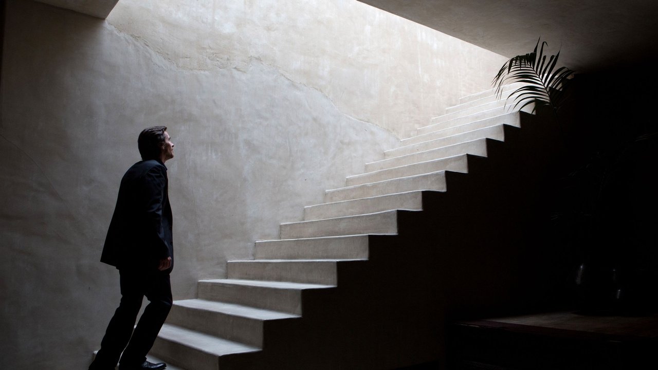 Backdrop image for movie Knight of Cups