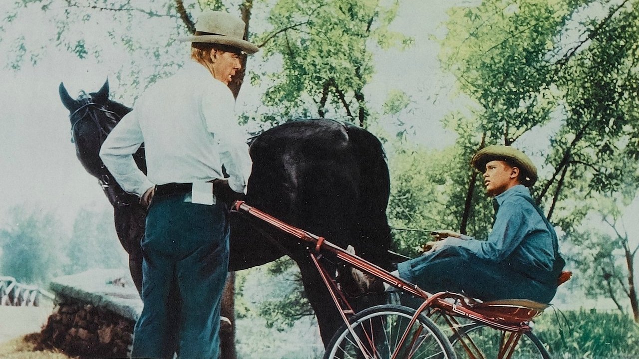 Backdrop image for movie The Missouri Traveler