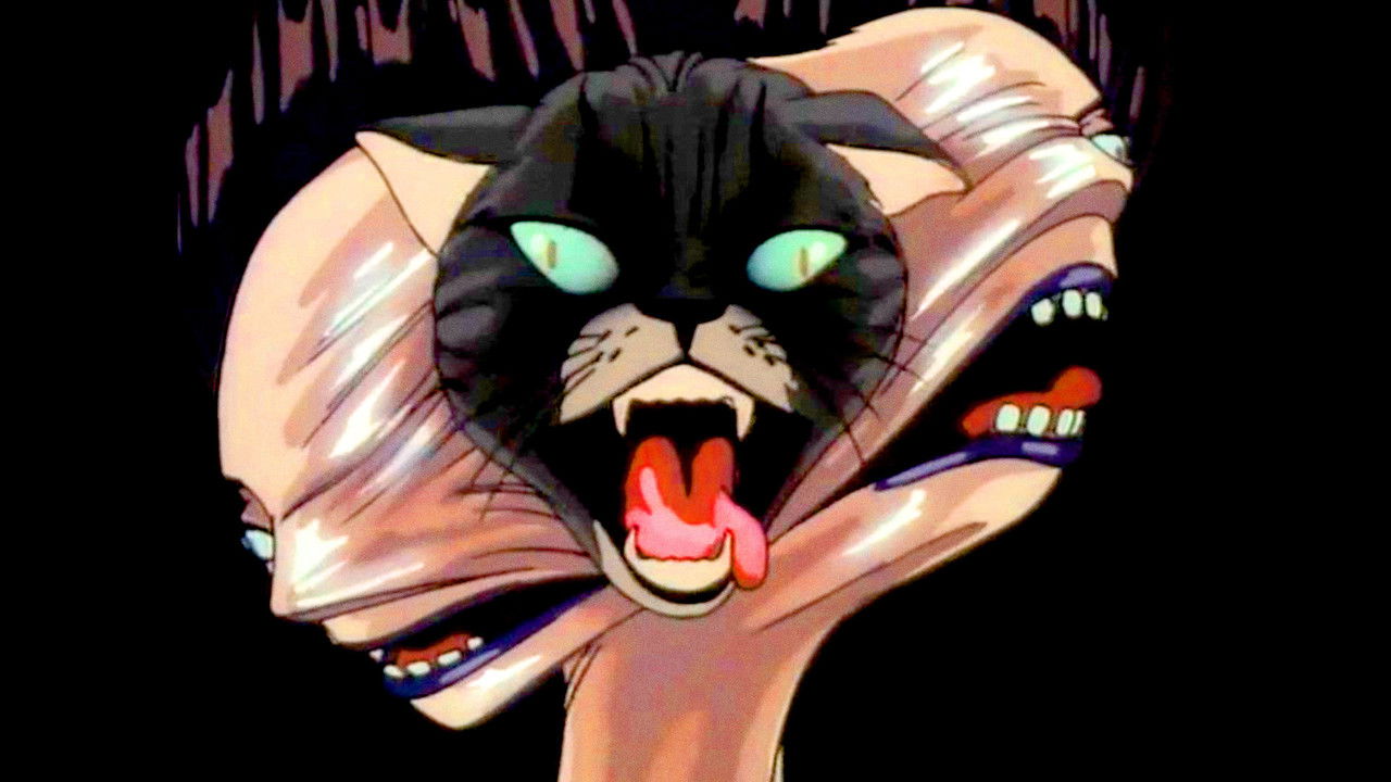 Backdrop image for movie Lily C.A.T.