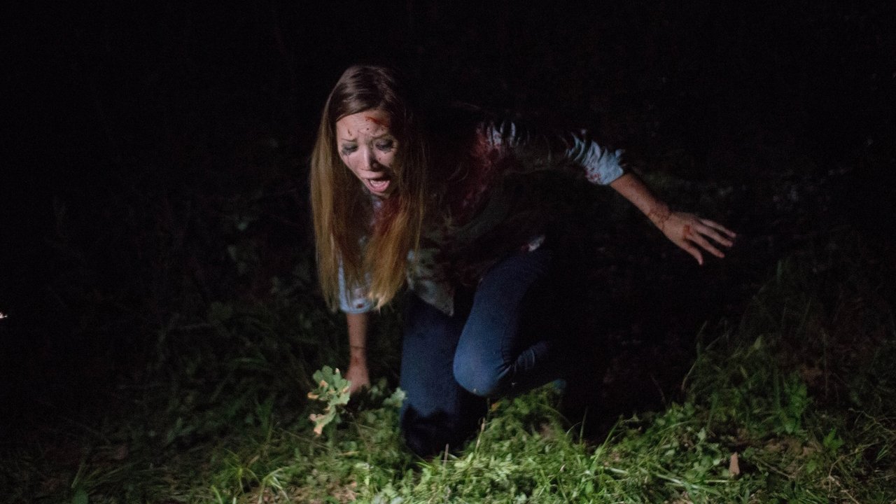 Backdrop image for movie Found Footage 3D
