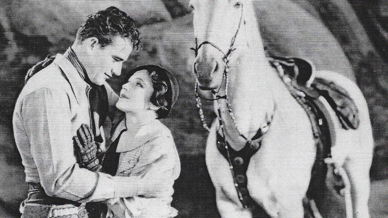 Backdrop image for movie Somewhere in Sonora