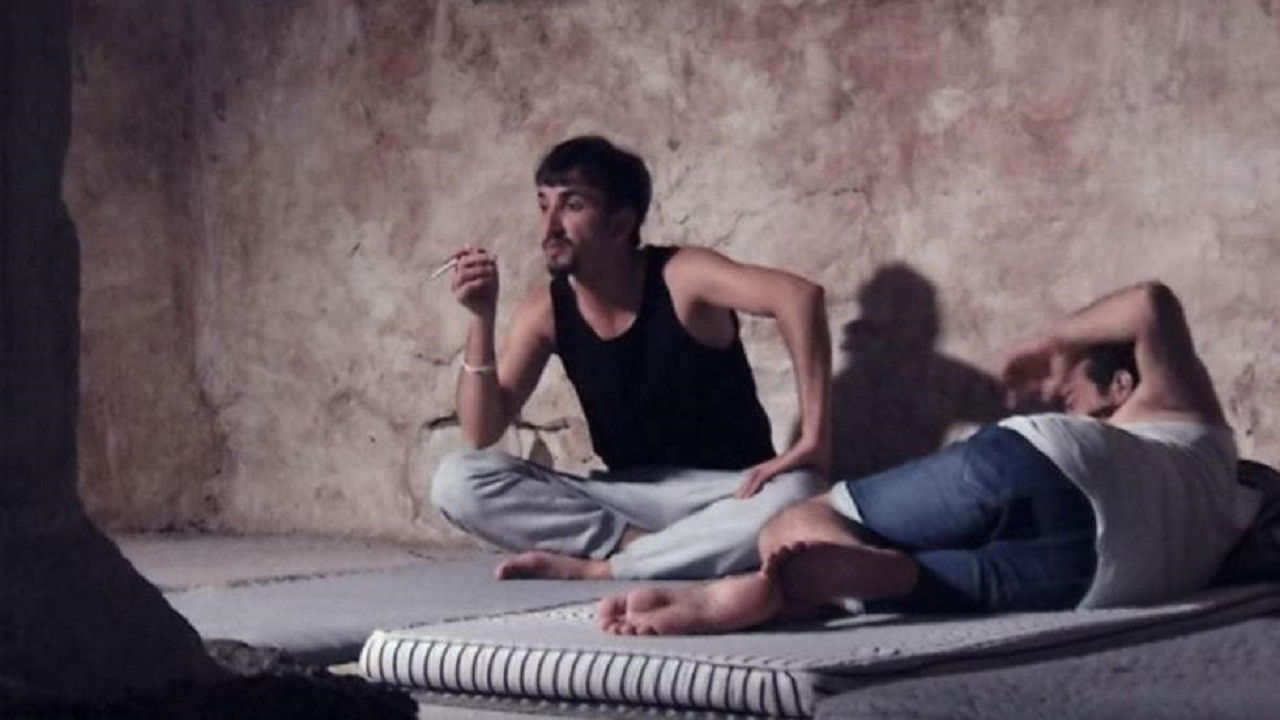 Backdrop image for movie Privacy of Wounds