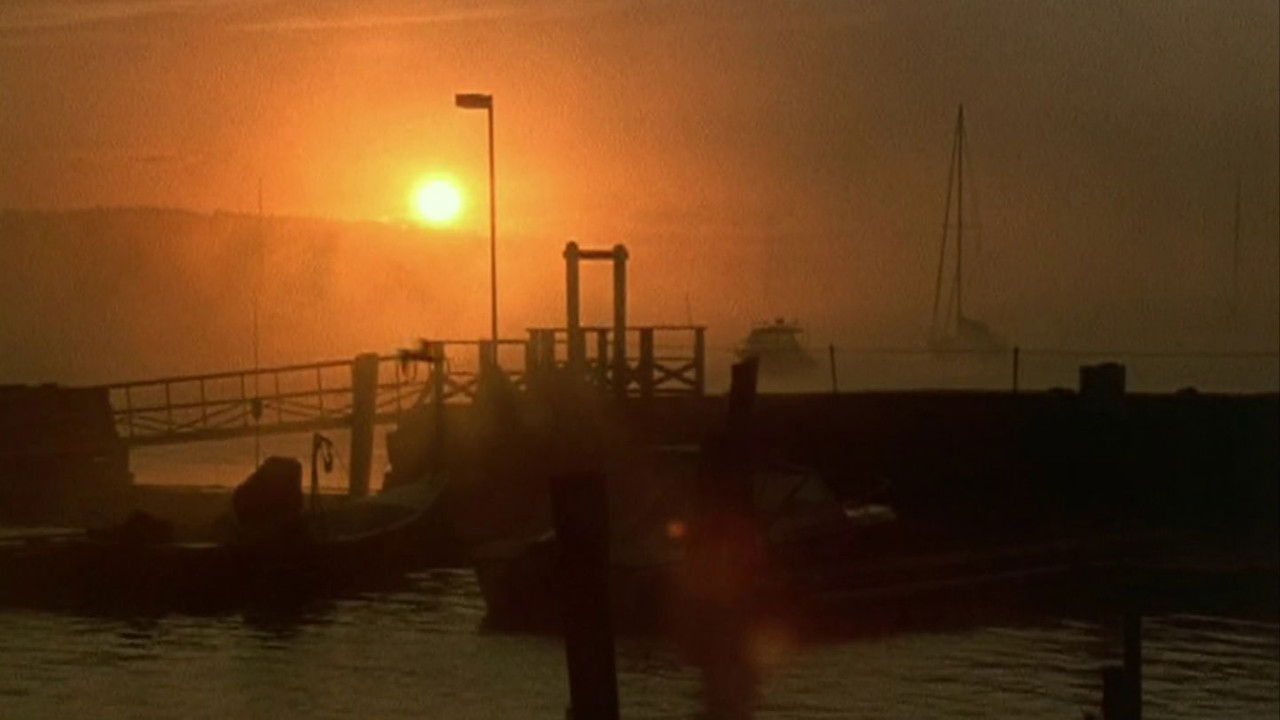 Backdrop image for movie Belfast, Maine