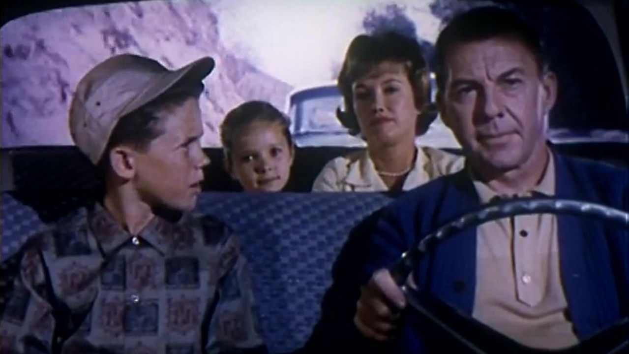 Backdrop image for movie Anatomy of an Accident