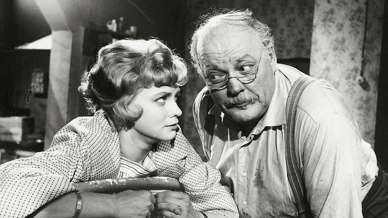 Backdrop image for movie Pinsiön parooni