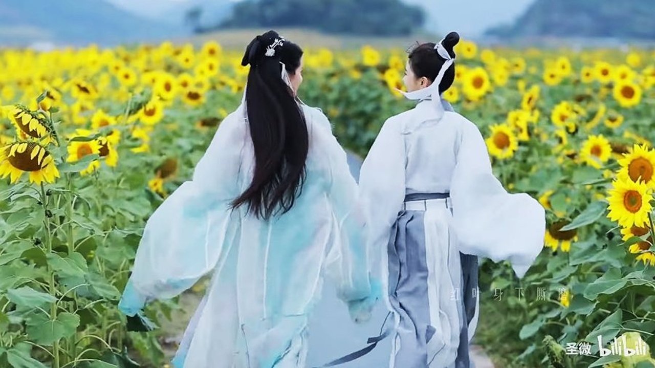 Backdrop image for movie The Fox Spirit and The Little Priest
