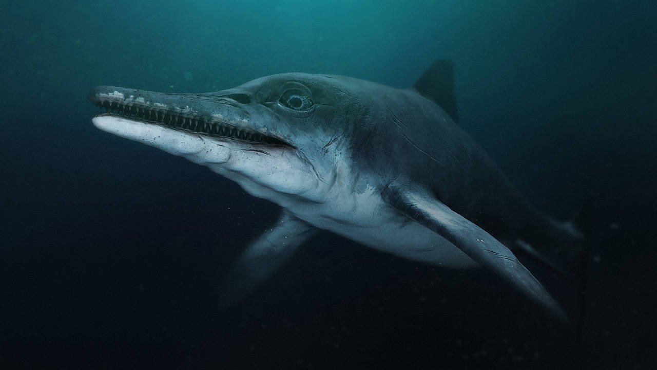 Backdrop image for movie Attenborough and the Sea Dragon