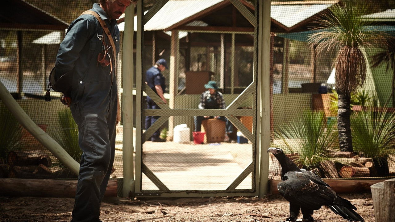 Backdrop image for movie Healing