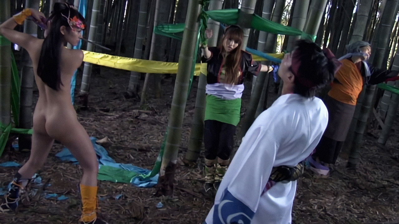 Backdrop image for movie Lady Ninja: Reflections of Darkness