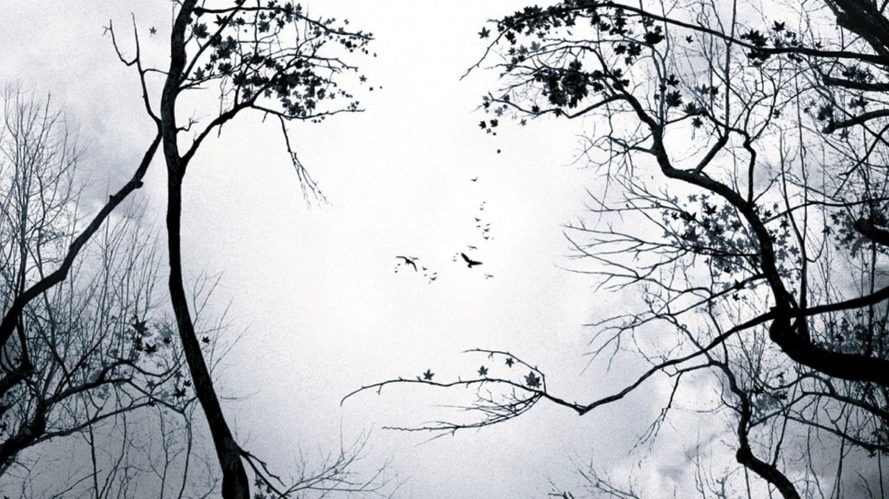 Backdrop image for movie Premonition