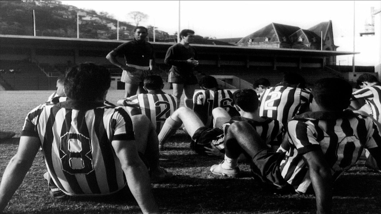 Backdrop image for movie Estrela Solitária