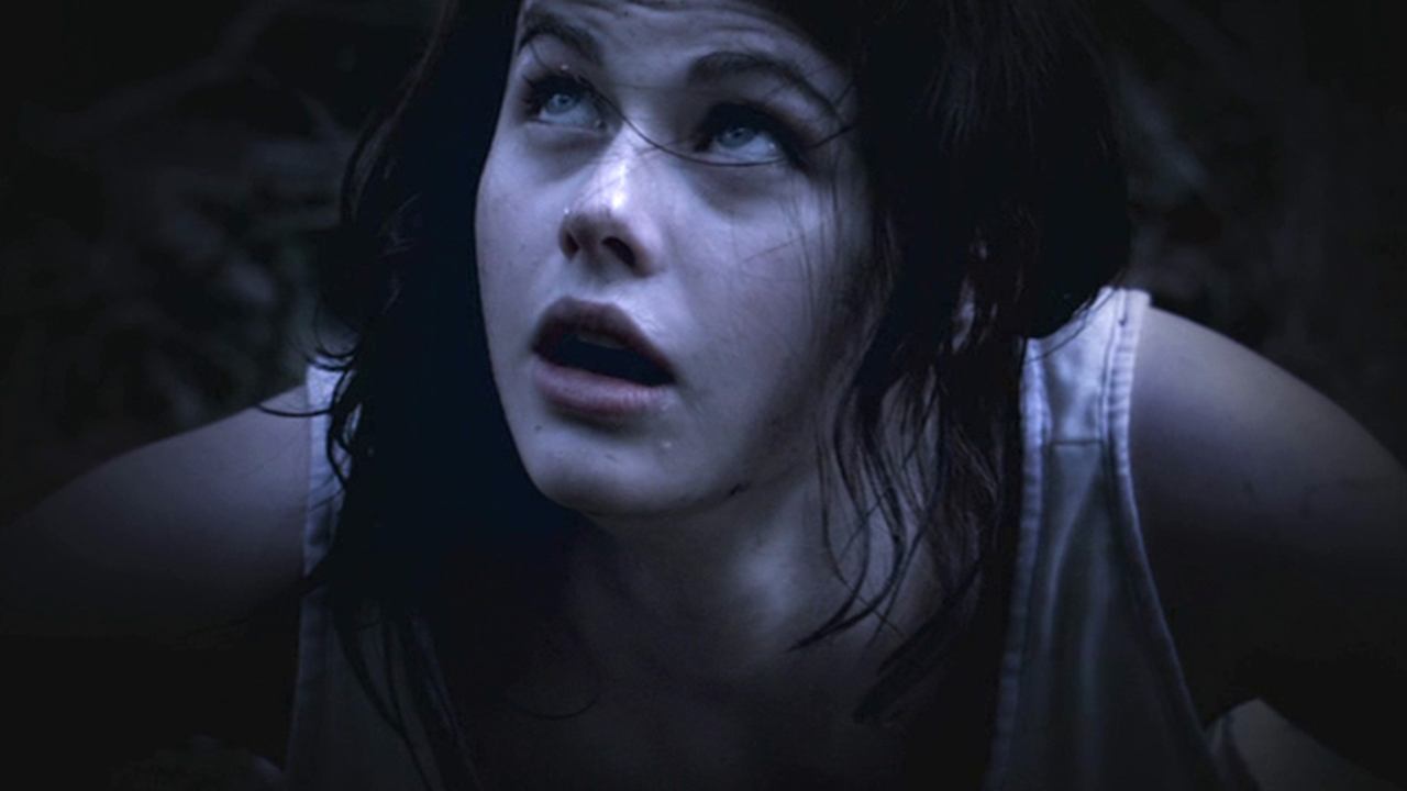 Backdrop image for movie The Attic