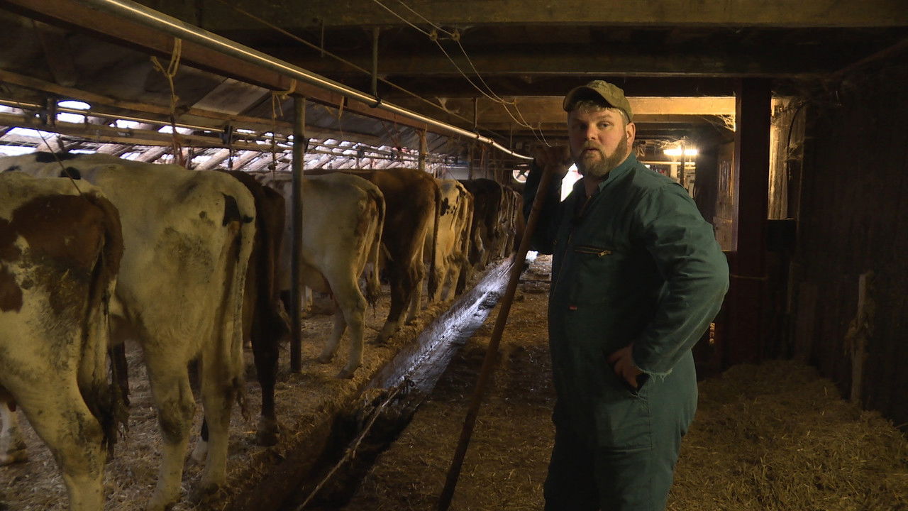 Backdrop image for movie Veearts Maaike