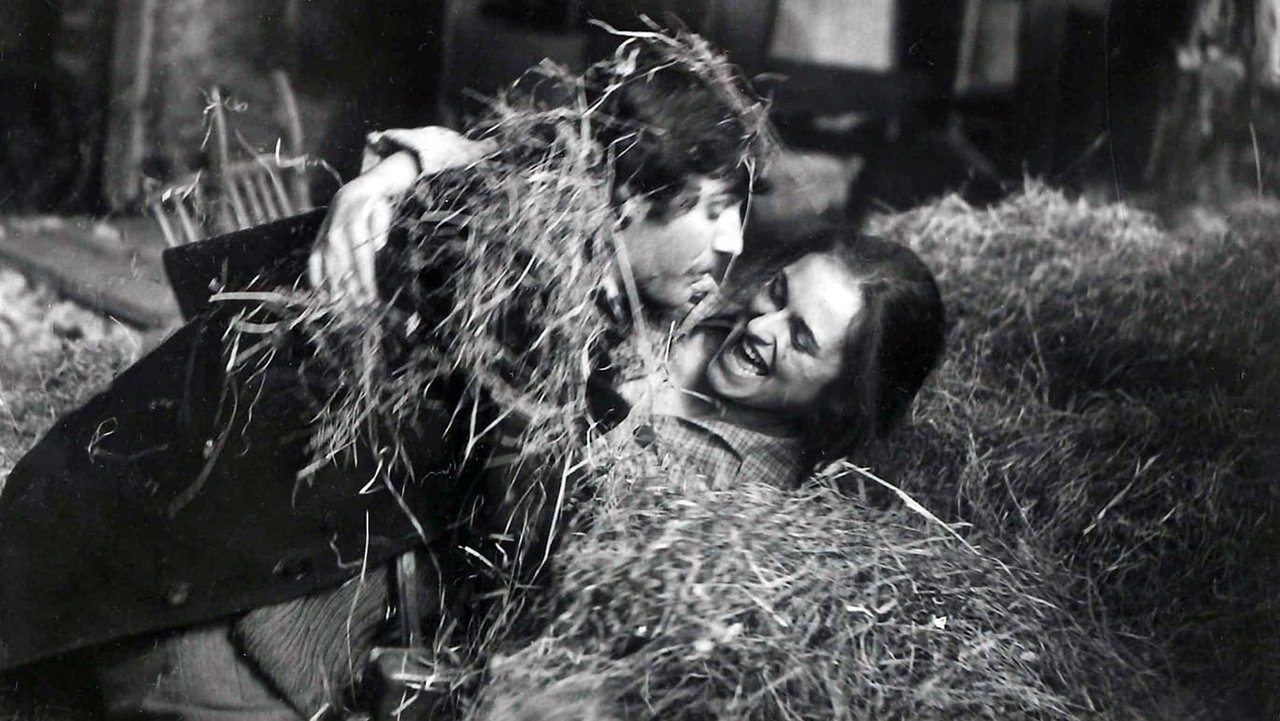 Backdrop image for movie Red Wheat