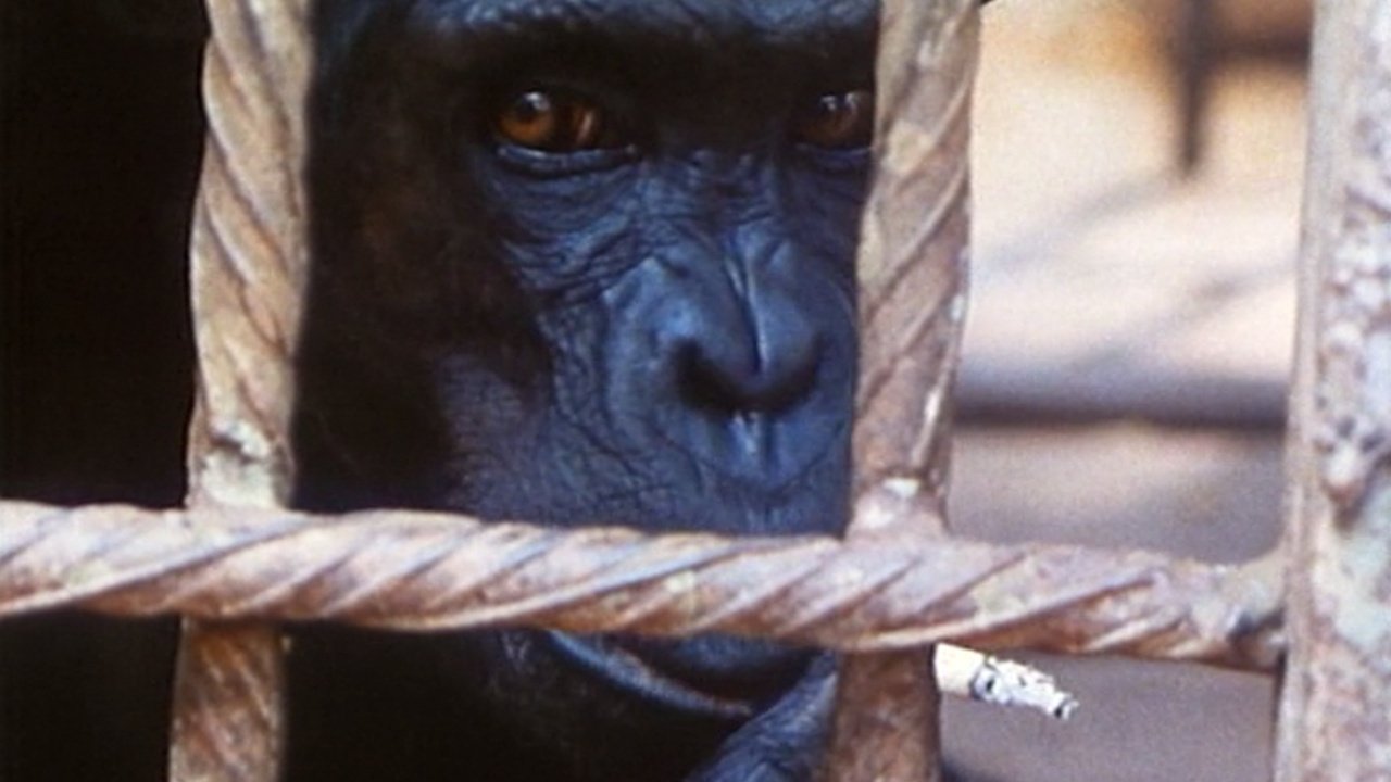 Backdrop image for movie Echoes from a Sombre Empire