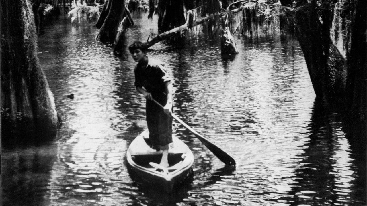 Backdrop image for movie Louisiana Story