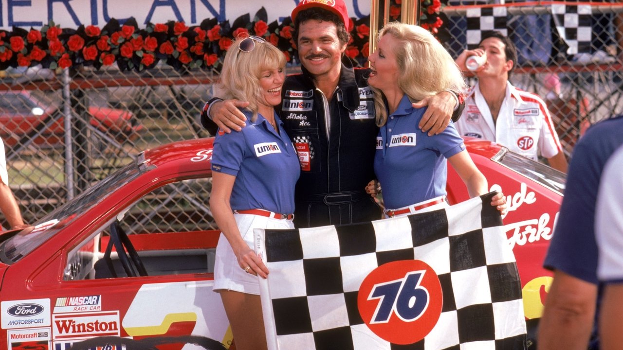 Backdrop image for movie Stroker Ace