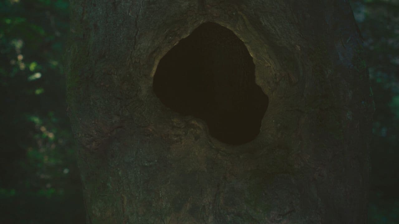 Backdrop image for movie Earthen
