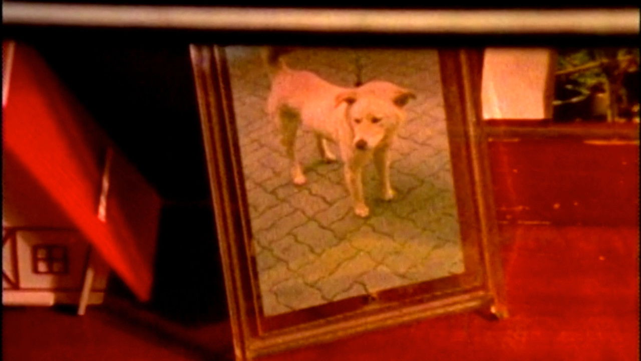 Backdrop image for movie The Memories in My Frame