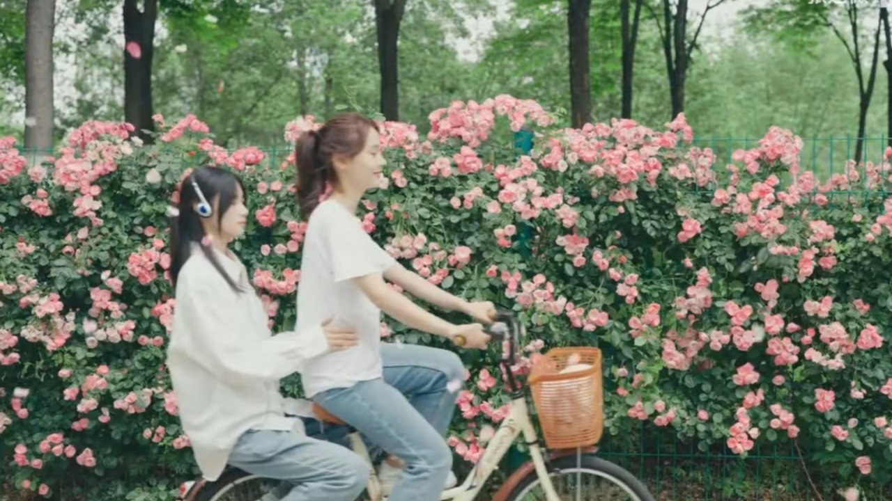 Backdrop image for movie You Who Are Lost With the Wind