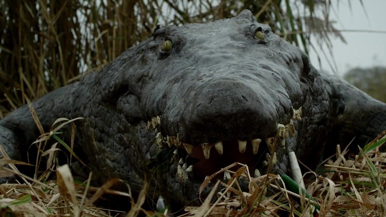 Backdrop image for movie The Hatching