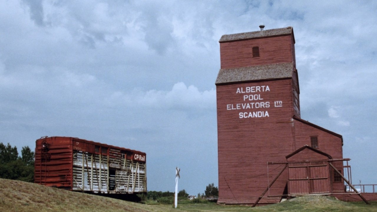 Backdrop image for movie Death of a Skyline