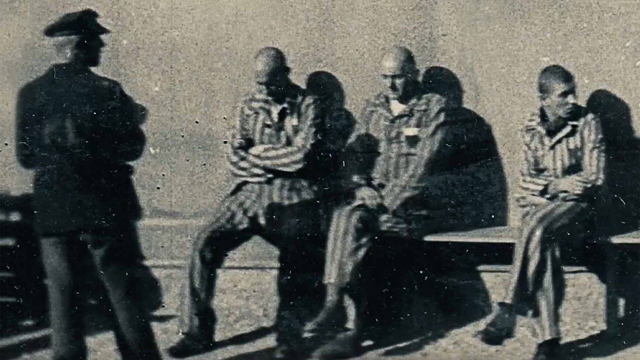 Backdrop image for movie From Where They Stood
