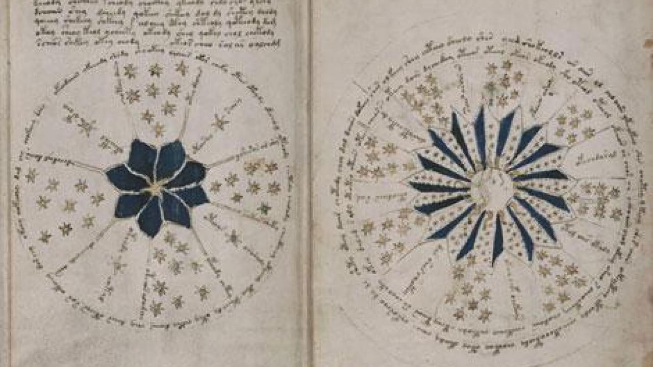 Backdrop image for movie The Voynich Code: The World's Most Mysterious Manuscript