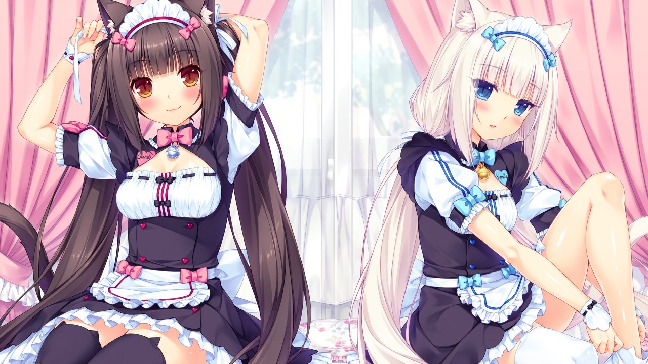 Backdrop image for movie NEKOPARA OVA