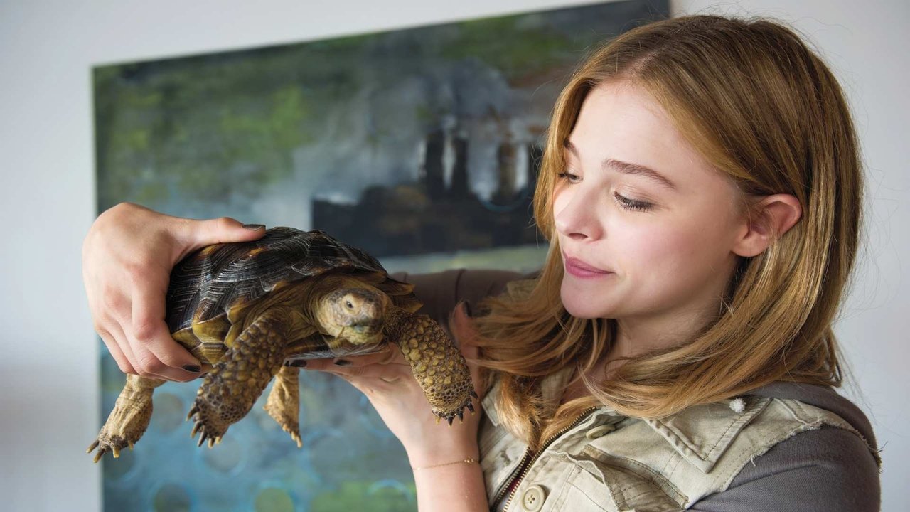 Backdrop image for movie Laggies